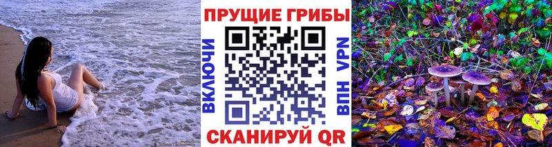 Купить  Дюртюли  Псилоцибиновые грибы мухоморы 